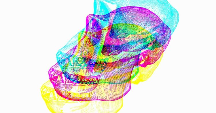 What Is ApeCoin and Who Is Behind It?