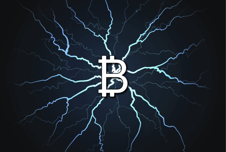 Bitcoin Veteran Deceives Scammer To Learn Lightning Network