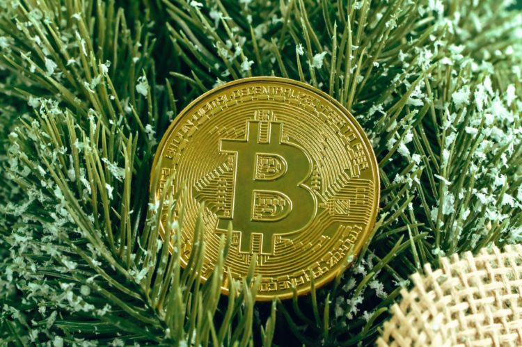 Data Shows Bitcoin Top Buyers Already Capitulated, New Bull Rally Here?