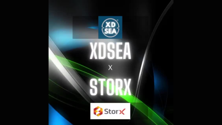 StorX Network Becomes the Answer to XDSea Marketplace’s Storage Needs