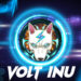 Volt Inu Announces Exciting Developments for Its Project