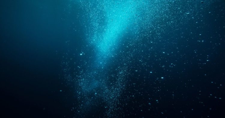 A Year After Coinbase’s Public Debut, Most Listed Crypto Firms Are Underwater Compared With Bitcoin’s Performance; BTC Retreats From $42K