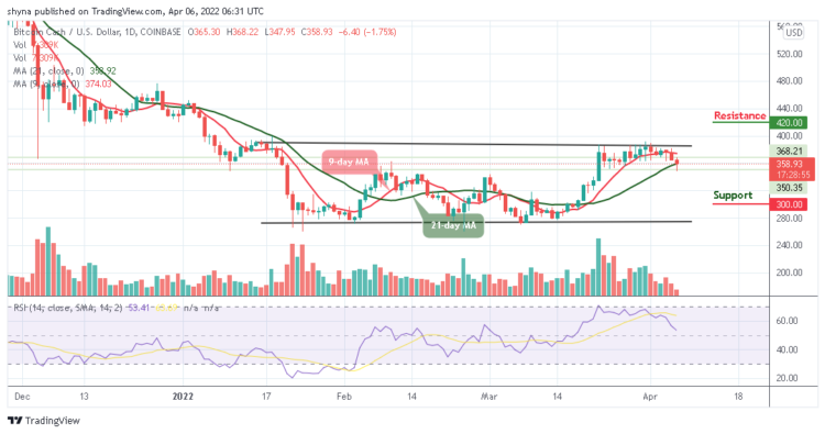 BCH/USD Is Currently Down By 1.75%; What Next?