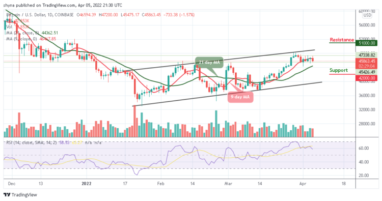 Bitcoin Price Prediction: BTC/USD Targets $44,000 Resistance