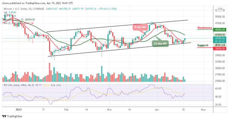 BTC Gets Ready for a Spike Above $42000 Level