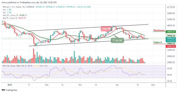 BTC May Not Go Above $40,000 Level