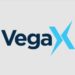 VegaX Holdings executive says decentralization will promote capital markets growth