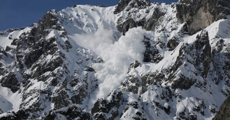 Ava Labs Set to Raise $350M at $5B Valuation: Report