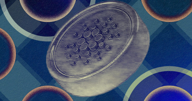 How AdaSwap plans to raise the bar for Cardano DEXs