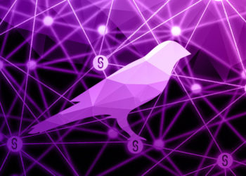 Subsocial, a Kusama-based platform reimagining social networks for the Web3 era