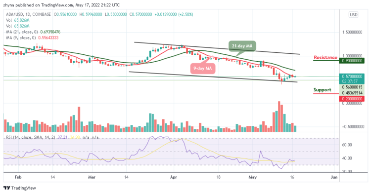 Cardano Price Prediction for Today, May 17: ADA May Gear up for Recovery Above $0.60