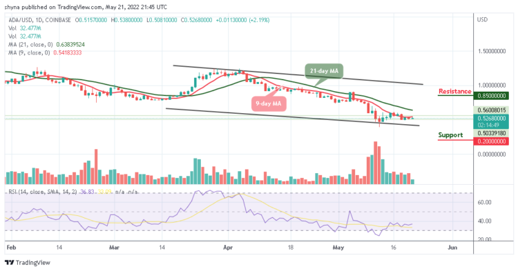 ADA Bulls May Play Out Above $0.60
