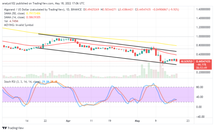 Algorand Price Prediction: ALGO Is Downing Slowly