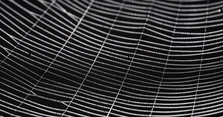 Breaking Barriers to the Web 3 Creator Economy