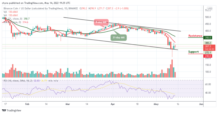 BNB Under Pressure As Price Plummets Below $290