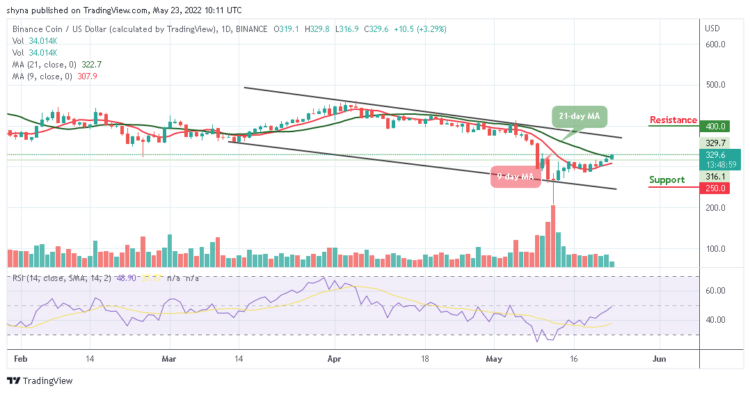 Binance Coin Price Prediction for Today May 23: BNB Faces $350 Resistance