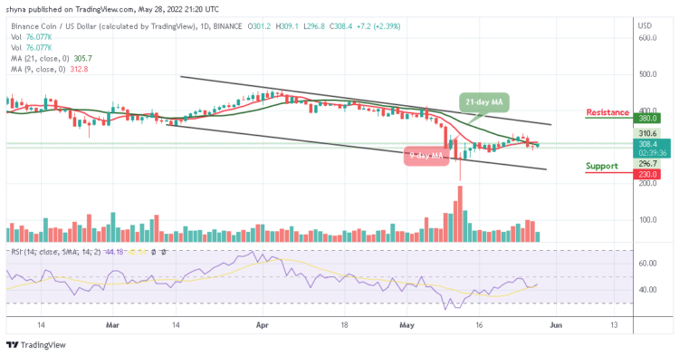 BNB/USD Ready for a Shoot Above $300
