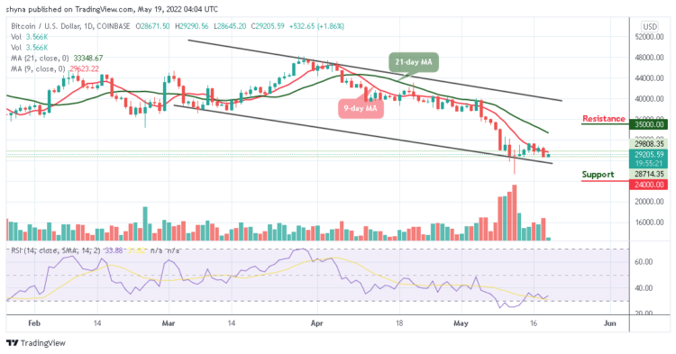 BTC Bounces Above $29,000 Level