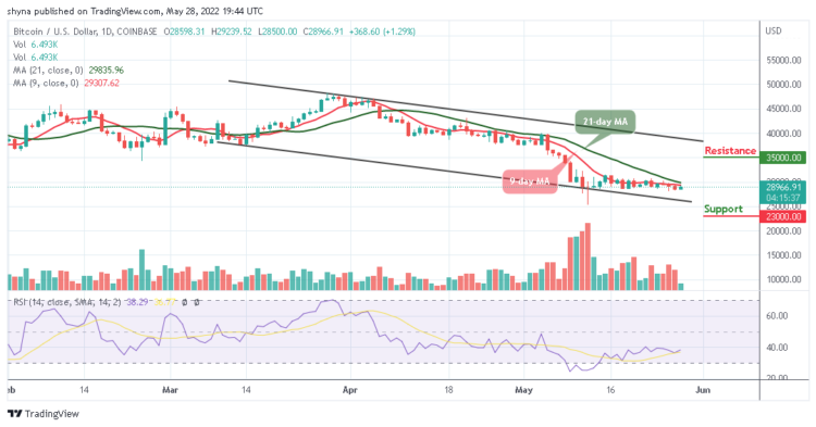 BTC Price Still Consolidating Around $29,000