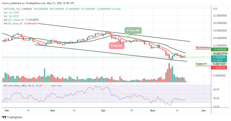 Polkadot Price Prediction for Today, May 21: DOT Trades With 0.62% Gains