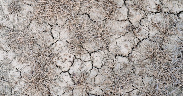 Regulators Should Pay Attention to UST