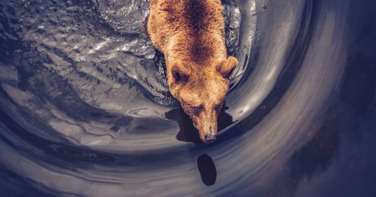 Bitcoin Tumbles to Lowest Since July 2021 as Market Panic Grows