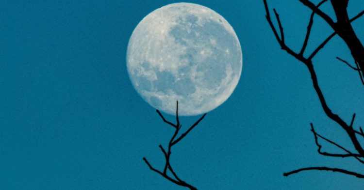 OKX Delists Terra’s LUNA and UST Citing User Protection