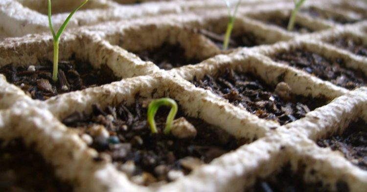 Web 3-Savvy Media Outlet Dirt Raises $1.2M in Seed Round