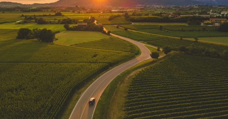 Why on Earth Would Land Be Scarce in the Metaverse?