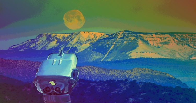 Terra Devs Need a Home. Other Blockchains Are Courting Them