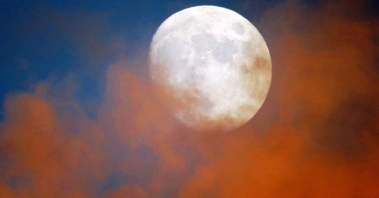 Despite Recent Bumps in the Road, Stablecoins Will Stick Around