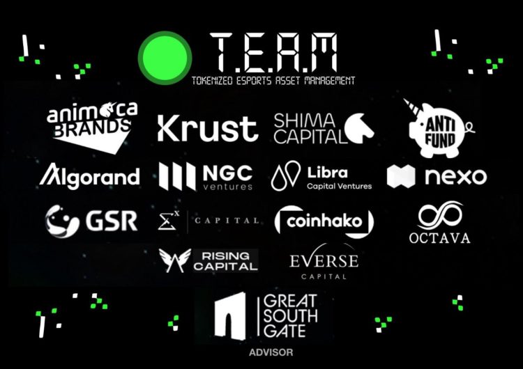 T.E.A.M DAO raises $5 million Series A round led by Krust Universe and Animoca Brands