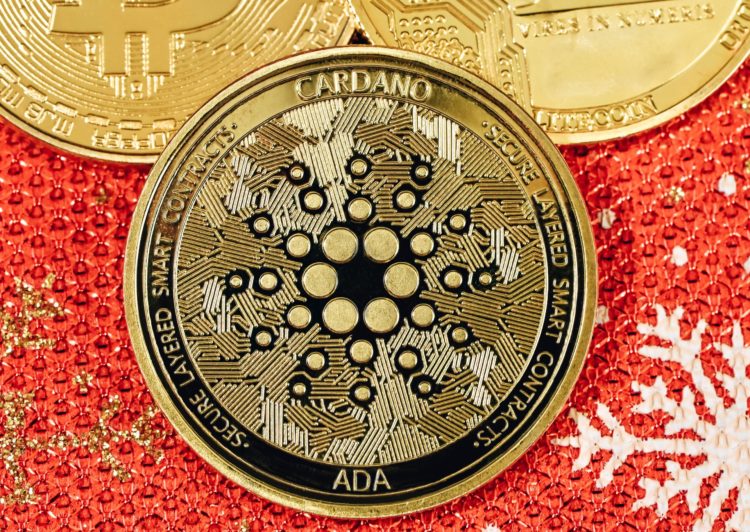 Cardano (ADA) Continues To Sink, What’s Next For The Coin?