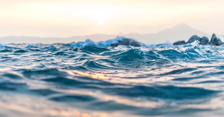 Ocean Protocol Leans on NFTs to Drive Decentralized Data Markets