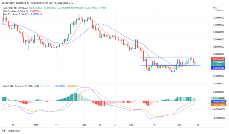 Cardano Price Prediction for June for June 11: ADA/USD is Ranging