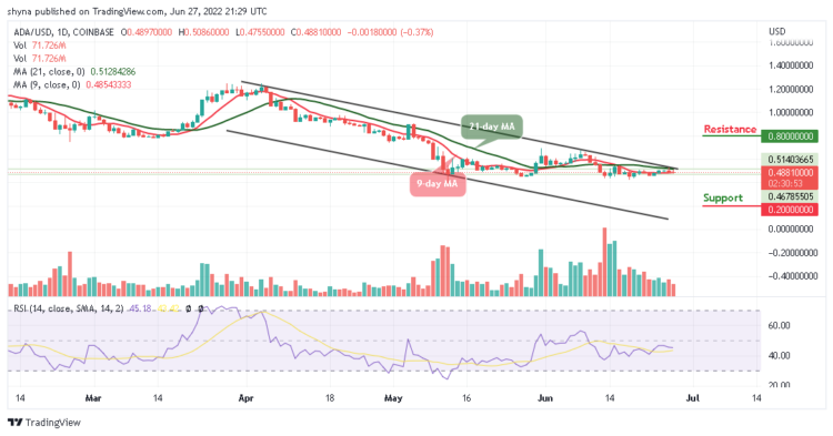 ADA Consolidates as Price Drops Below $0.50