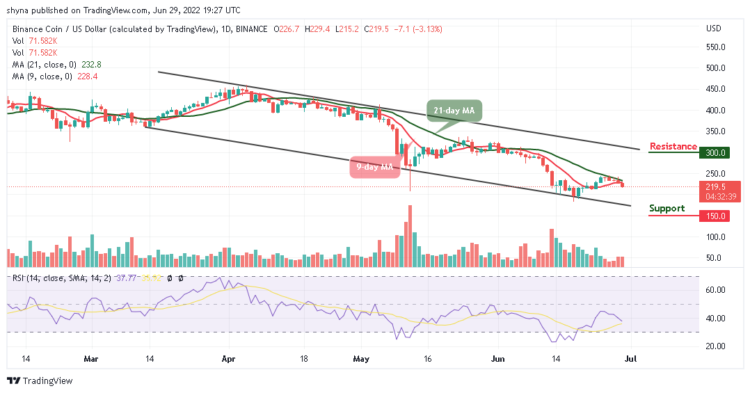 BNB Slumps Below $215 Level