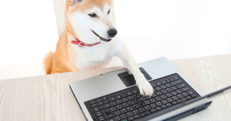Speculation Fuels Shiba Inu, Dogecoin to Biggest Seven-Day Gains as Bitcoin Steadies