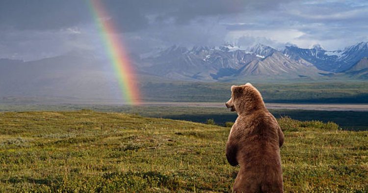 First Mover Asia: Traders See Bitcoin Falling to 2017 Levels Amid Ongoing Inflation, Economic Concerns; Cryptos Struggle