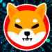 Shiba Inu Price Rises 46% in a Week- Should You Invest in it?