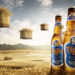 Malaysia’s Tiger Beer Producer Partners With PMC To Unleash NFTs