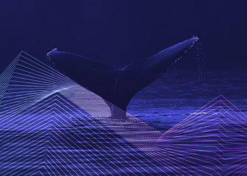 Solend pays users to vote on proposal to liquidate whale wallet OTC and avoid “bad debt”