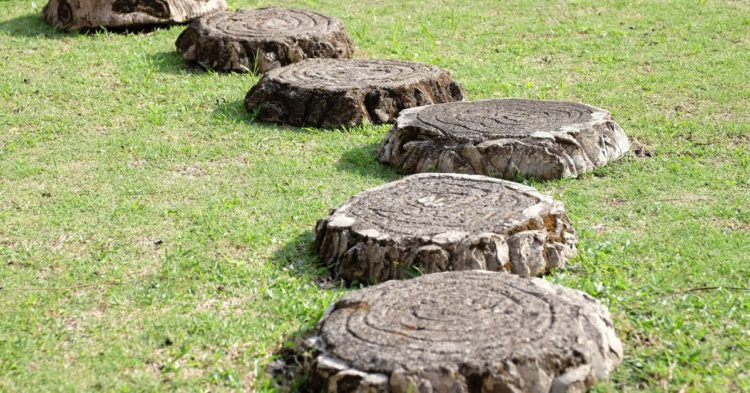 Crypto Lender Celsius Files to Retain Former CFO to Advise on Bankruptcy Proceedings