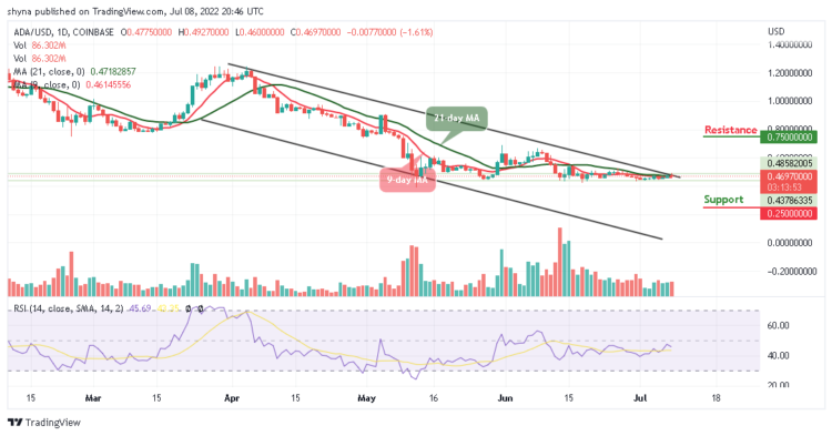 ADA Moves Sideways; Price Drops Below $0.50