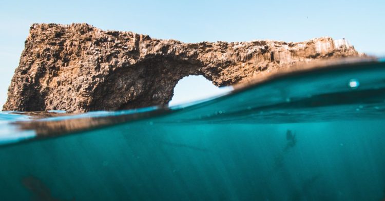 Market Wrap: Bitcoin Climbs Above $21K for First Time in a Week