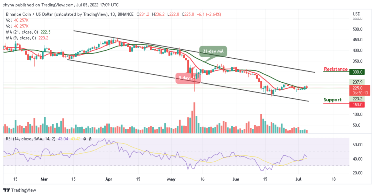 BNB Under Pressure; Price Slides Below $230