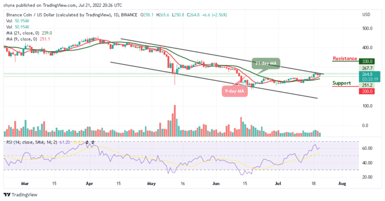 Binance Coin Price Prediction for Today, July 21: BNB Targets $270 Level