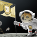 Is SpaceEx Doge Mission On
