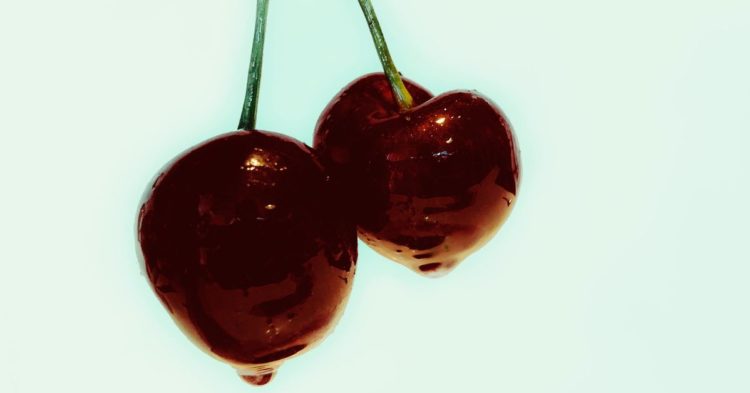 To Use or Hold? Solving the Classic Crypto Conundrum With a Dual Token Model