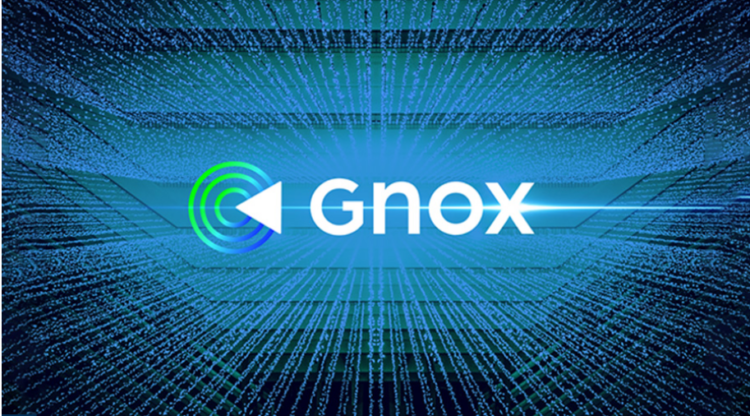 GNOX Set To Overtake APE, MATIC As Token’s Price Continues Ascent